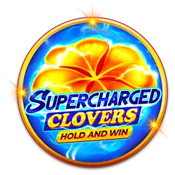 333win timbet cassino on-line